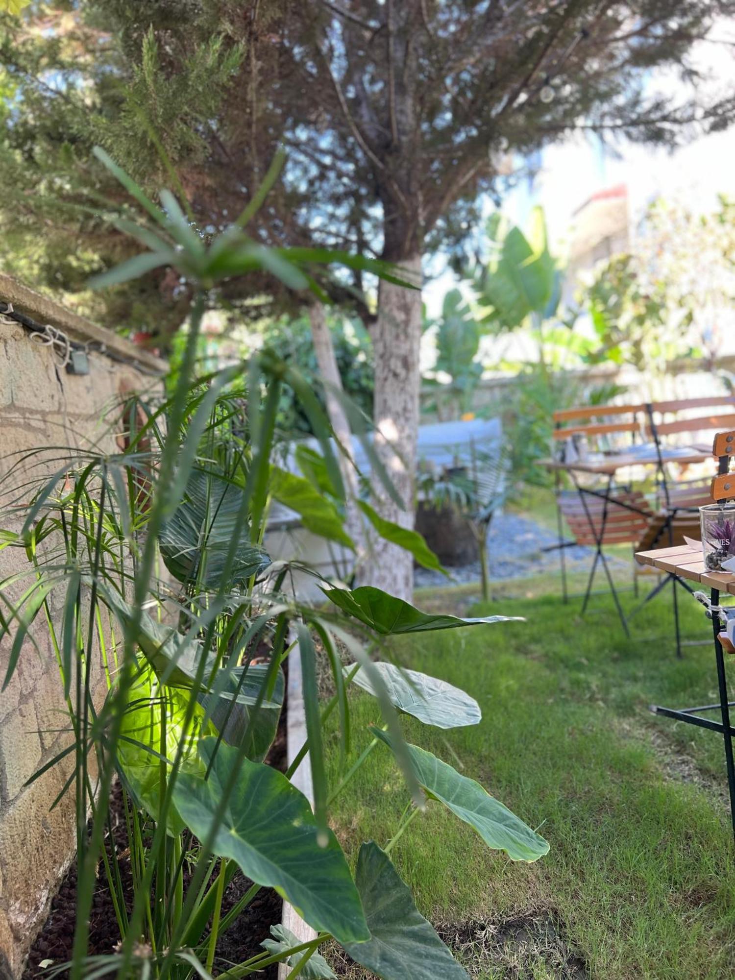 Luna Alaçatı Exterior foto